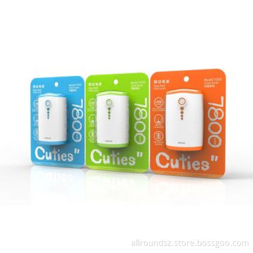 Dual Output Portable Power Bank